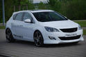 Steinmetz 2010 Opel Astra 6