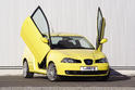 Seat Ibiza 6L 1
