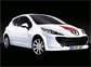 Peugeot 207 Le Mans
