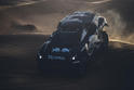 Peugeot 2008 DKR16 14