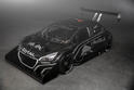 Peugeot 208 T16 Pikes Peak 4