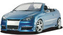 RDX RACEDESIGN Peugeot 206 CC 1