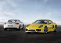 2013 Porsche Cayman 10