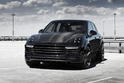 2015 TopCar Porsche Cayenne 22