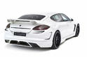 Hamann Cyrano Porsche Panamera 5