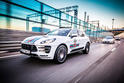 Martini Porsche 911 Panamera Macan Cayenne 7