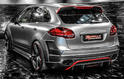 Regula Exclusive Porsche Cayenne 2