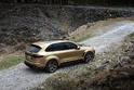 TopCar Porsche Cayenne Turbo Vantage Gold 13
