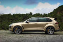 TopCar Porsche Cayenne Turbo Vantage Gold 7