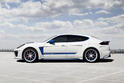 TopCar Porsche Panamera Carbon 14