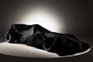 Renault F1 Team R30 teaser