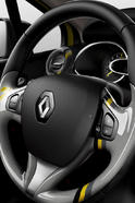 2013 Renault Clio 30