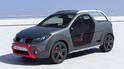Renault Sandero Sand Up 11