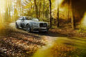 Spofec Rolls Royce Wraith 17