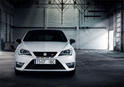 2013 Seat Ibiza Cupra 9