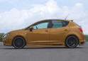 JE Design Seat Ibiza 3