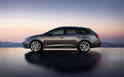 Seat Leon ST 17