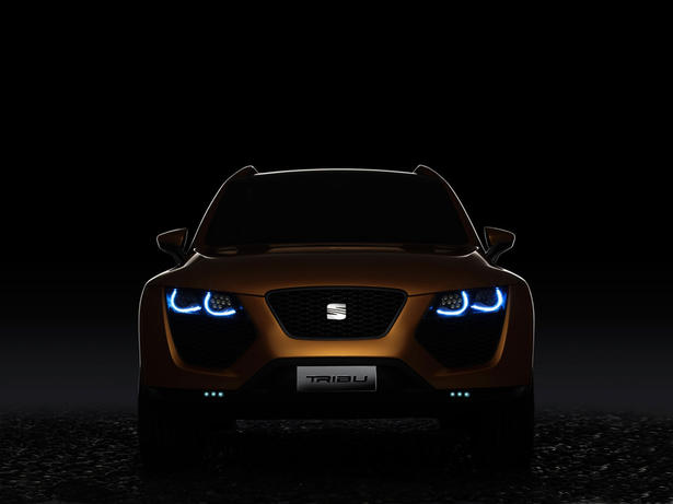 Seat Tribu details