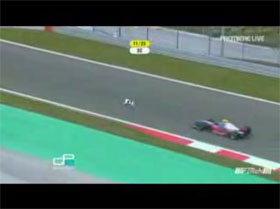 Senna Hits Dog at Turkish Grand Prix