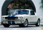 Shelby GT R Model Jerry Titus