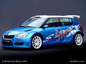 Skoda Fabia S2000 3
