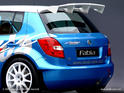 Skoda Fabia S2000 4