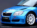 Skoda Fabia S2000 5