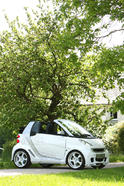 Konigseder smart 451 ForTwo 16