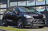 Steinmetz Opel Mokka