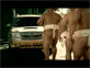Subaru Forester Sumo Carwash Ad