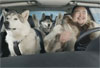 Suzuki Kizashi 2012 Super Bowl Commercial