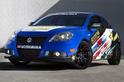 Suzuki Kizashi Apex 6
