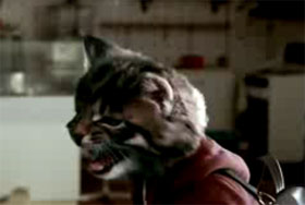 Toyota Corolla Ninja Kittens ad