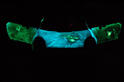 Glowing Toyota MR2 9