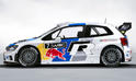 2013 Volkswagen Polo R WRC 8