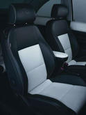 Volkswagen Beetle 10th Anniversary 3