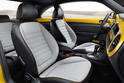 Volkswagen Beetle Dune 13