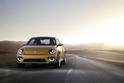 Volkswagen Beetle Dune 9