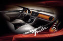 Volkswagen Beetle Fender 3