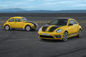 Volkswagen Beetle GSR 10