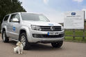 Volkswagen Dog Driving Training Program 2