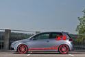 Volkswagen Golf R Bull 17
