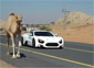 Zenvo ST1 vs camels