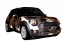 The pet MINI Cooper