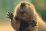 Bridgestone 2011 Super Bowl Ad