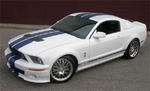 CDC StangNet Glassback Shelby GT500