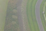 Crop Circles at Goodwood Motor Circuit