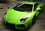 DMC Lamborghini Aventador DIECI