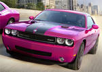 Dodge Challenger Furious Fuchsia