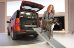 Dog friendly Honda Element